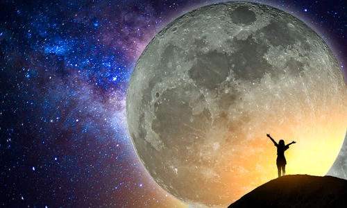 shutterstock 516496957 jpg