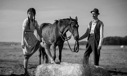 Premiera internaţională «Moromeţii 2», la Salonic jpeg