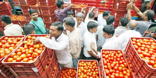 produse alimentare