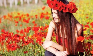 31 13942057 xlasdfasd jpeg