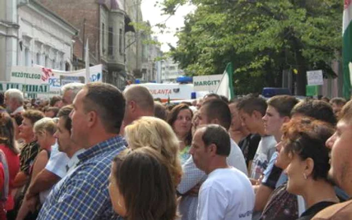 Oradea: Protest în fața Inspectoratului școlar