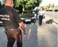 Spray paralizant şi rozete de box confiscate de la agresorii unor copilaşi în Vâlcea Foto Adevărul