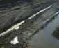 Imagini de Evul Mediu în Constanţa - cartierul Veterani Km 4-5 Foto S.I.
