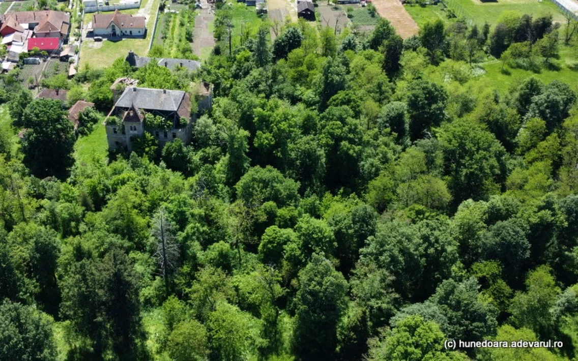 Castelul Nalaţi foto daniel guta adevarul
