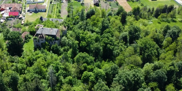 Castelul Nalaţi foto daniel guta adevarul