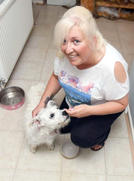 Sharon Johnston  nu vrea să renunţe  la distrugător