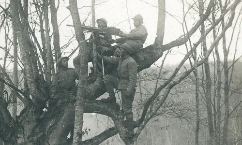 7 noiembrie 1917. Valea Glodului. Cuib de mitralieră în copac (© Arhivele Naționale ale României), Colecția Documente Fotografice, FI 8754