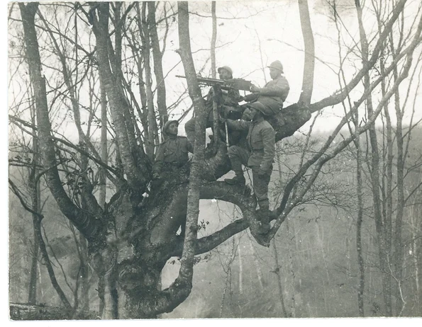 7 noiembrie 1917. Valea Glodului. Cuib de mitralieră în copac (© Arhivele Naționale ale României), Colecția Documente Fotografice, FI 8754