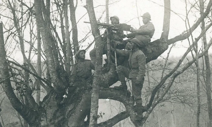 7 noiembrie 1917. Valea Glodului. Cuib de mitralieră în copac (© Arhivele Naționale ale României), Colecția Documente Fotografice, FI 8754