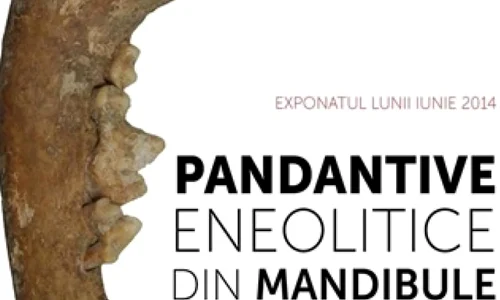 Exponatul lunii iunie – Pandantive eneolitice din mandibule de Canis familiaris L  jpeg