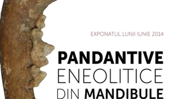 Exponatul lunii iunie – Pandantive eneolitice din mandibule de Canis familiaris L jpeg