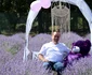 Lavanda 2 jpg