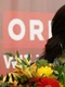 conchita wurst foto reuters 