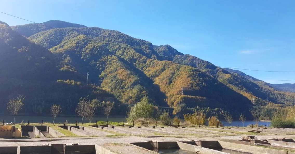 Vâlcea Păstrăvăria Brădişor Foto Adevărul