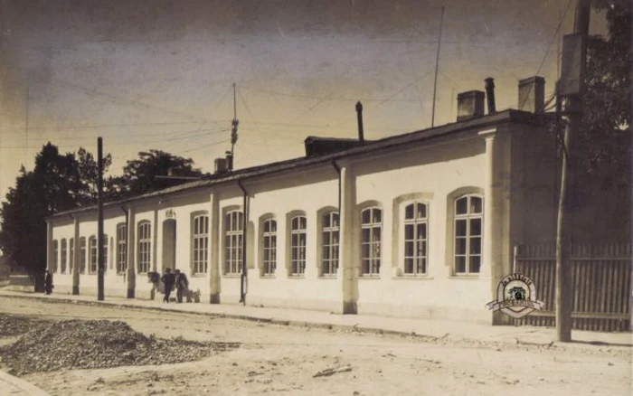 focsani cadire parlament