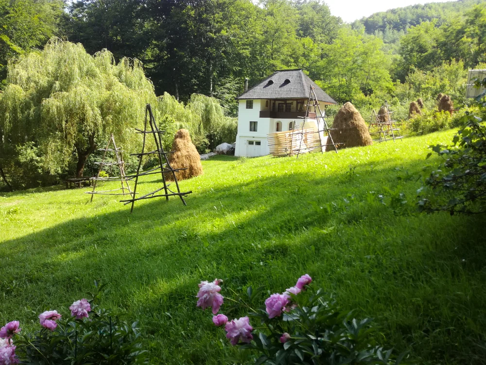 Chiliile Schitului Pahomie Meteora României din județul Vâlcea Foto Daciana Stoica