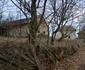Satele Cutin și Dumbrava Foto Daniel Guță ADEVĂRUL (13) jpg