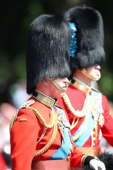 Evenimentul Trooping the Colour în anii trecuți
