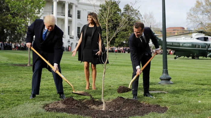 Donald trump şi Emmanuel Macron, plantând stejarul în grădina Casei Albe FOTO Getty Images