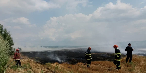 Incendii de vegetaţie uscata în prahova