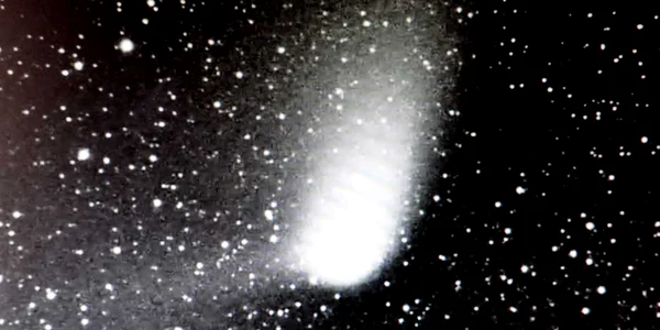 cometa panstars