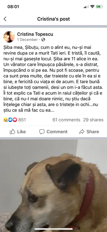 Postarea Cristinei Țopescu referitoare la Șiba