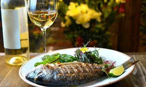 shutterstock 1139273534 jpg