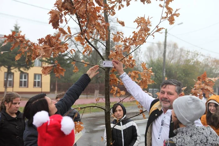 De crengile copacilor au fost agăţate ecusoane cu numele fiecărui erou FOTO Facebook/Ion Iacomi