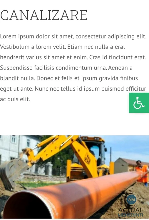 FOTO / Site-ul Primăriei Izvoru Bârzii