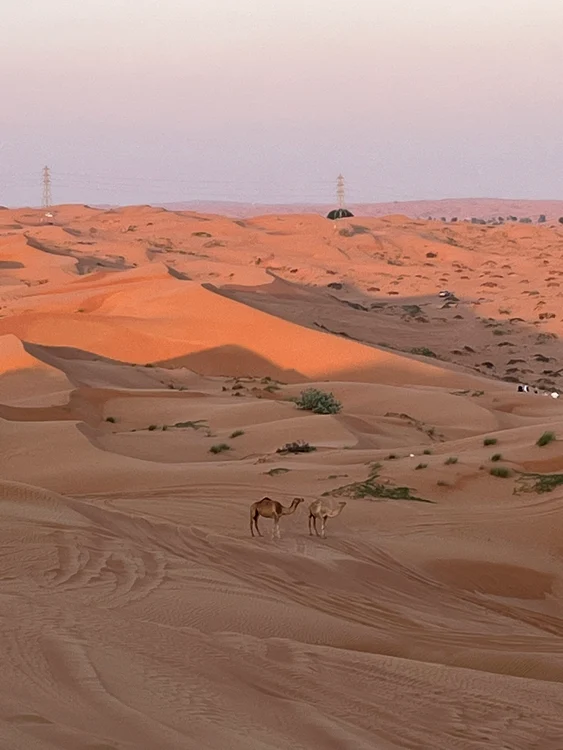 Deșertul oferă un peisaj spectaculos (Foto: Click!)