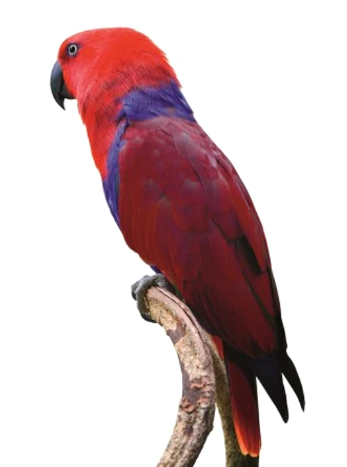 72adf18417cd87b049177f1fc9599ab9 jpg jpeg