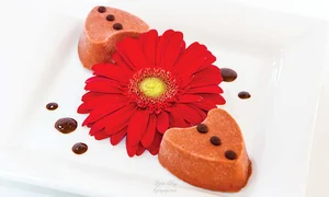 10 4  2col inimioare ligia pop jpeg