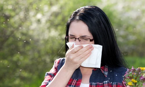 1 alergia la ambrozie png png