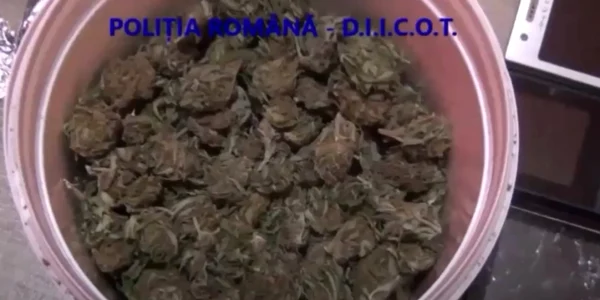 droguri