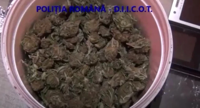 Oamenii legii au confiscat o cantitate de 90 grame de cannabis