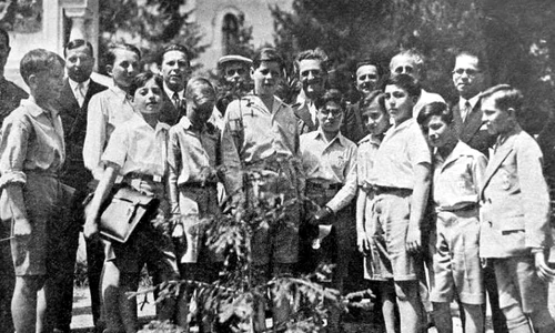 Școala de la Palat jpeg