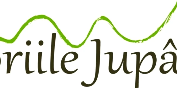 calatoriile jupanului