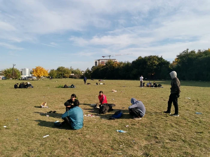 Afgan parc din Timişoara FOTO Ş.Both