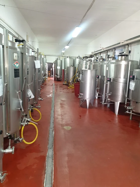 Liceul cu profil agricol are propria fabrică de vinuri FOTO: arhiva profesori Liceul „Alexe Marin” 