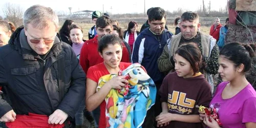 Sarmanii de la Groapa de Gunoi