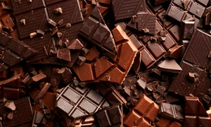 shutterstock 2319586885 jpg