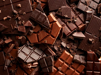 shutterstock 2319586885 jpg