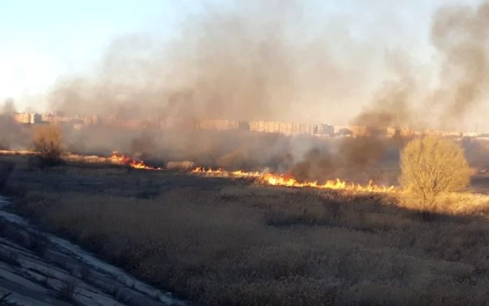 Incendiu Delta Vacaresti FOTO isu