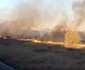 Incendiu Delta Vacaresti FOTO isu