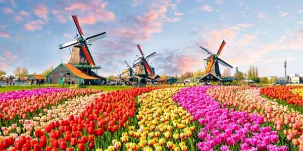 olanda