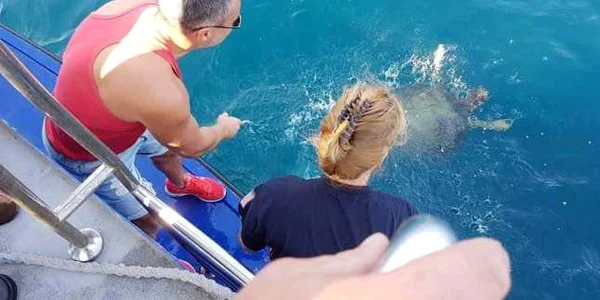 eliberare testoasa caretta carreta foto facebook delfinariu