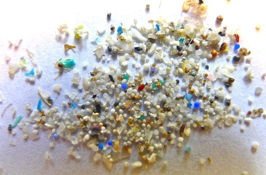 Microparticulele de plastic ar putea influenţa fertilitatea masculină