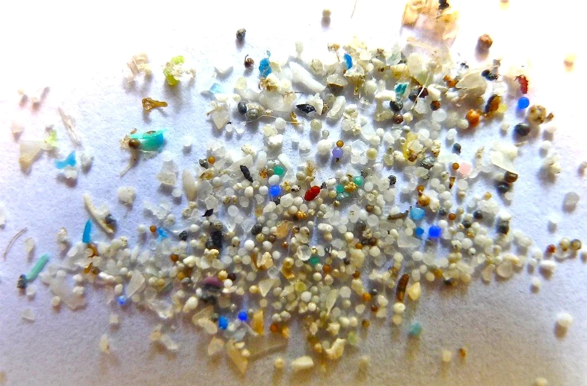 1 microplastic jpg jpeg