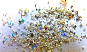 1 microplastic jpg jpeg