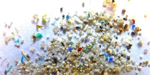 1 microplastic jpg jpeg